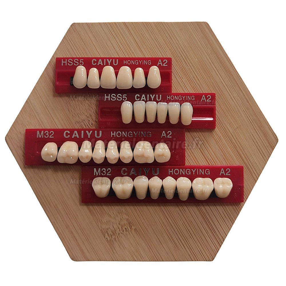 Prothèses dentaires en résine Caiyu Hongying (trois couches de couleur) A1/A2/A3/A3.5/A4